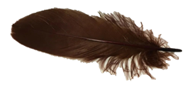 hnede