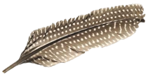 kropenate
