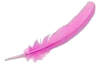 ruzove