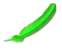 zelene