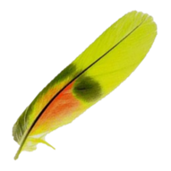 zlute
